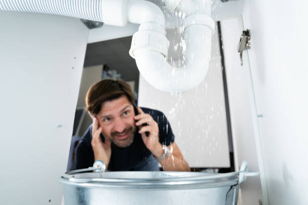 Best Shower Repair Services  in Bath, MI