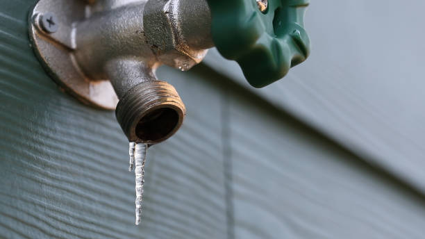  Bath, MI Plumbing Pros