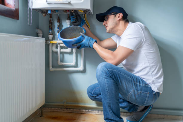 Best Plumbing Services Near Me  in Bath, MI